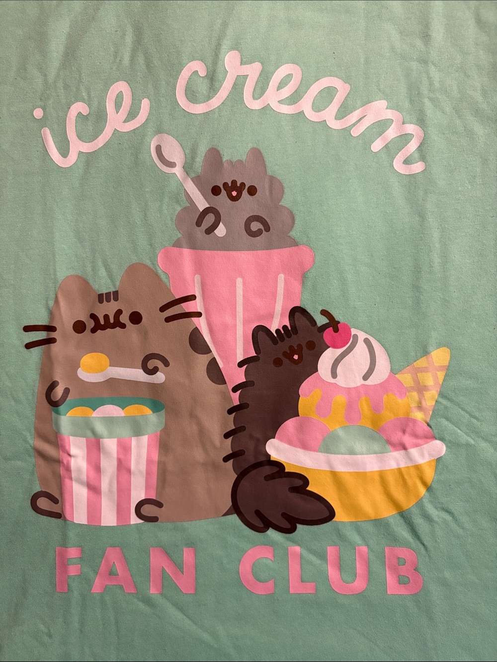 Pusheen Mint and Pink Crewneck Oversized Graphic Tee ice cream fan club